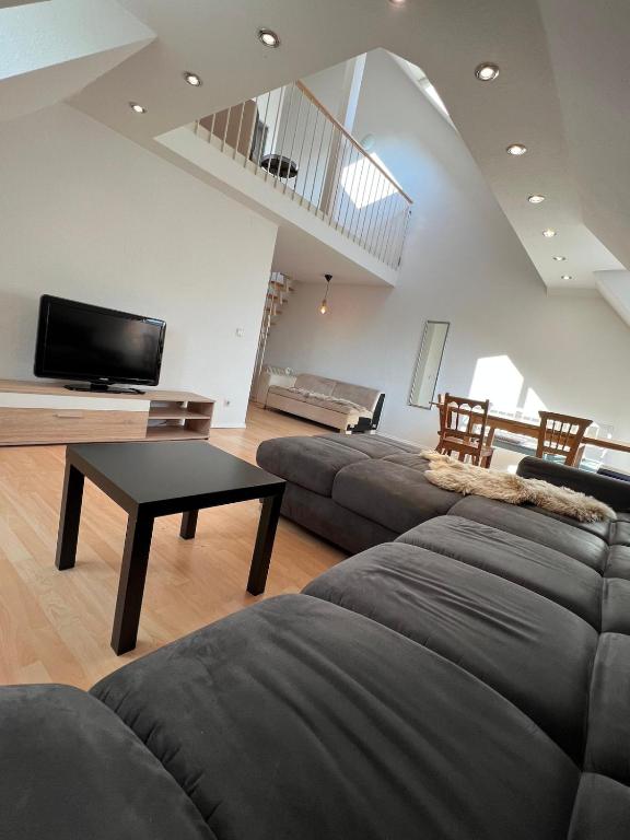 ヴァインガルテンにあるApartment im Welfenpalaisのソファ2つとテレビのあるリビングルーム