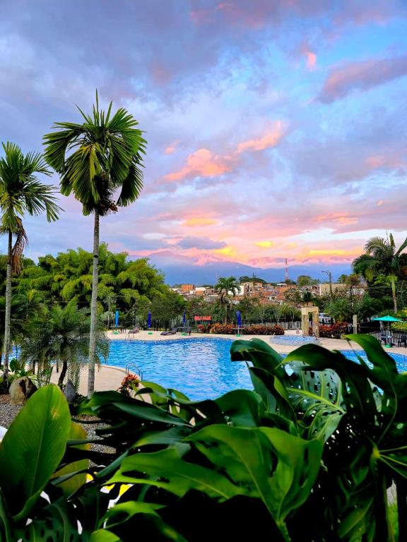 a resort swimming pool with a palm tree in the background at Gran Alojamiento Familiar con 4 Piscinas y Jacuzzi - Para 13 personas - By Molca Travel in Armenia