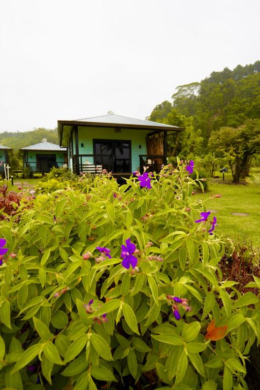 Sublime Tahiti Beach Retreat - Deluxe Doppelzimmer (2 Erwachsene + 1 Kind)