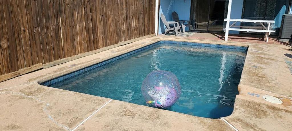 a purple fish in a swimming pool at 3 bedr w-private pool 1 block to beach Pets Ok in South Padre Island