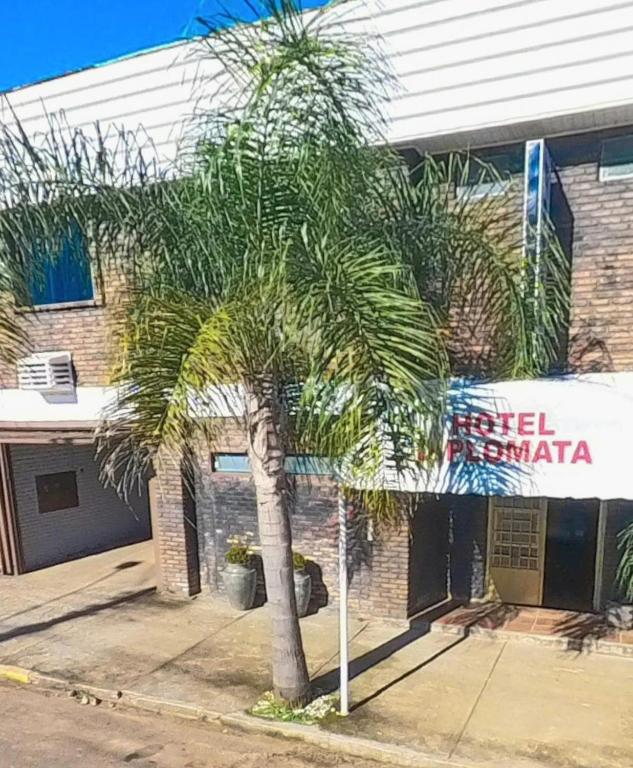a palm tree in front of a building at Hotel Diplomata in Tupanciretã
