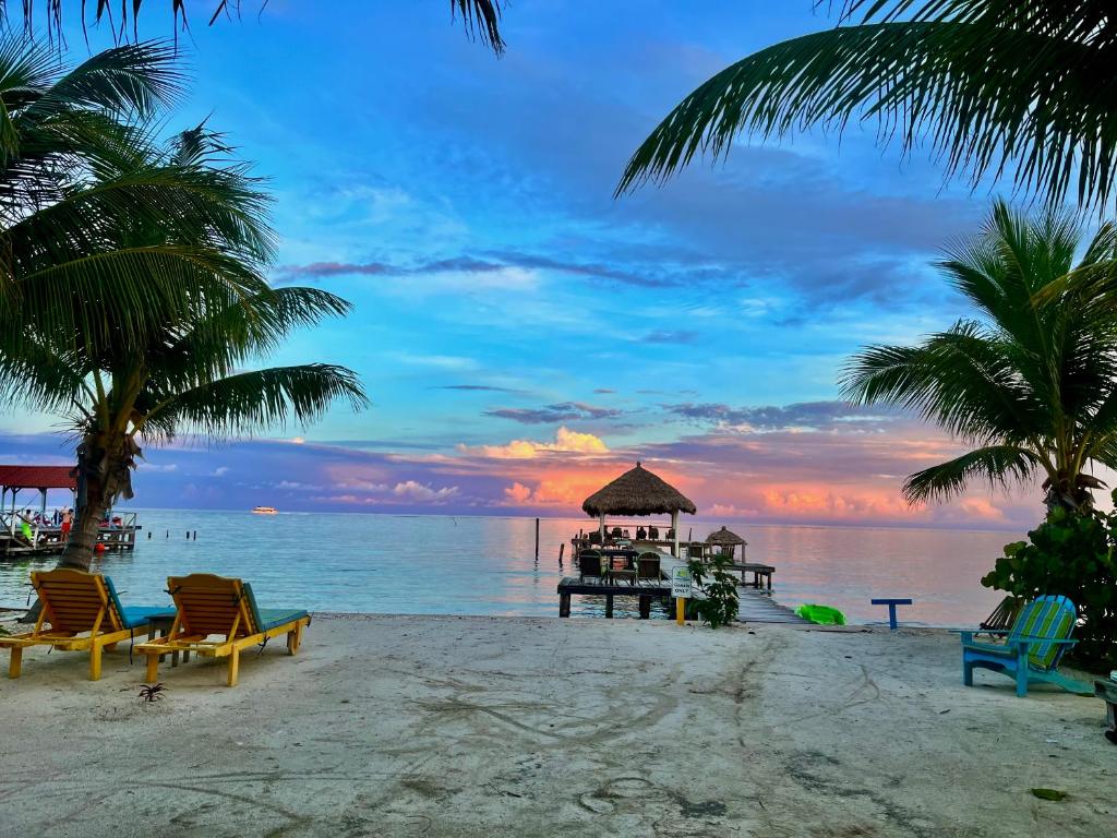 a beach with chairs and a bar on the water at Colinda Cabanas in Caye Caulker
