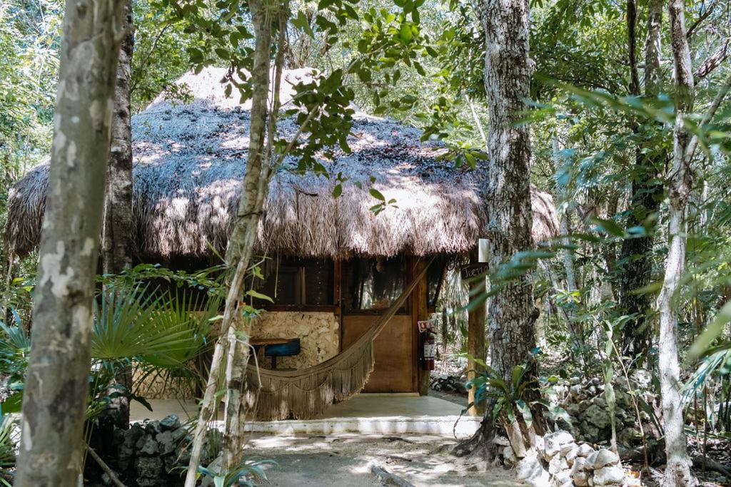 Cavelands become one with nature