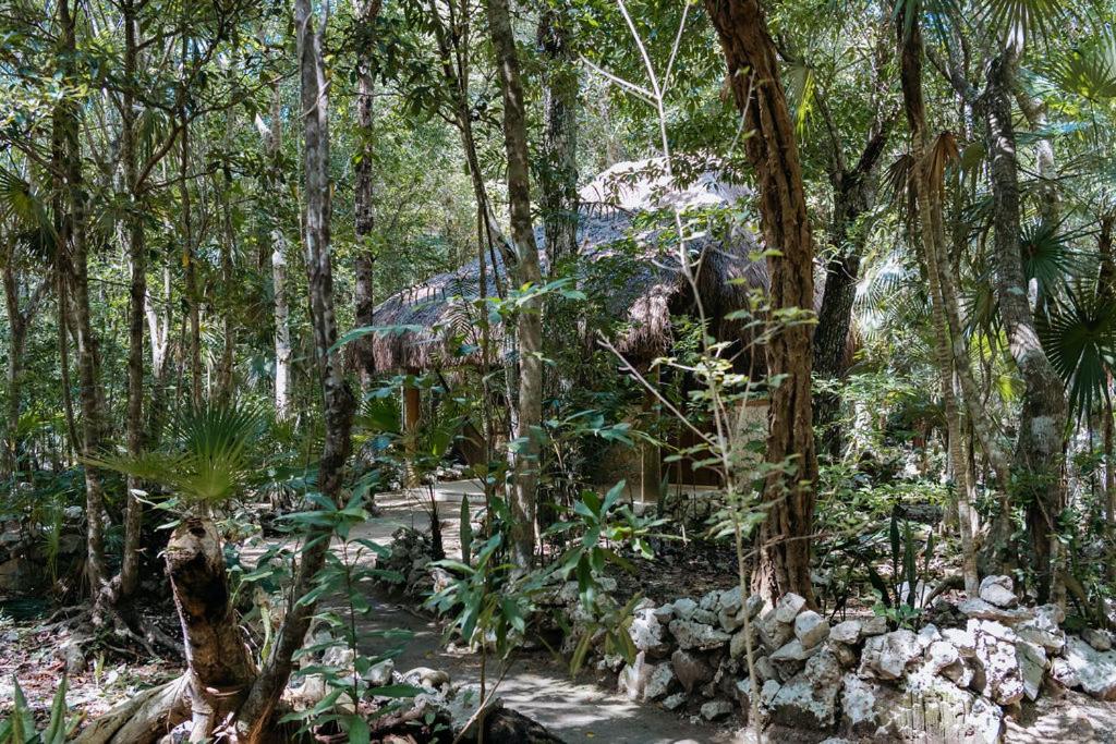 Cavelands become one with nature