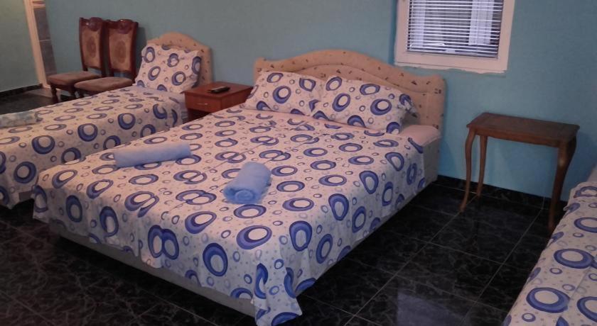 Guest House Dragomir - 14