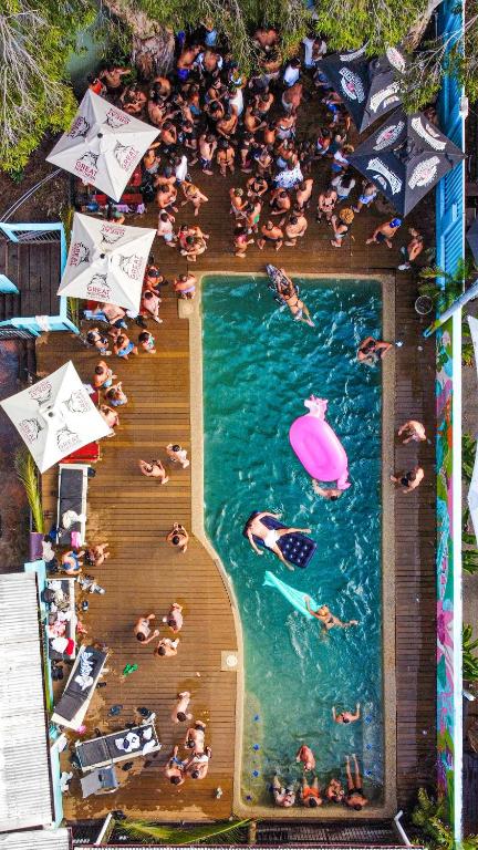 un grupo grande de personas nadando en una piscina en Port Douglas Backpackers, en Port Douglas