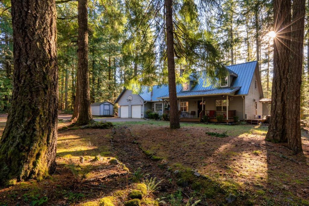 una casa con techo azul en el bosque en Stay Portland - Relaxing River Retreat, en Rhododendron