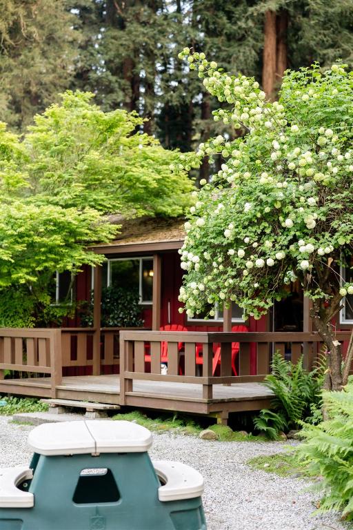 a small house with a tree with white flowers at Fern River Resort in Felton