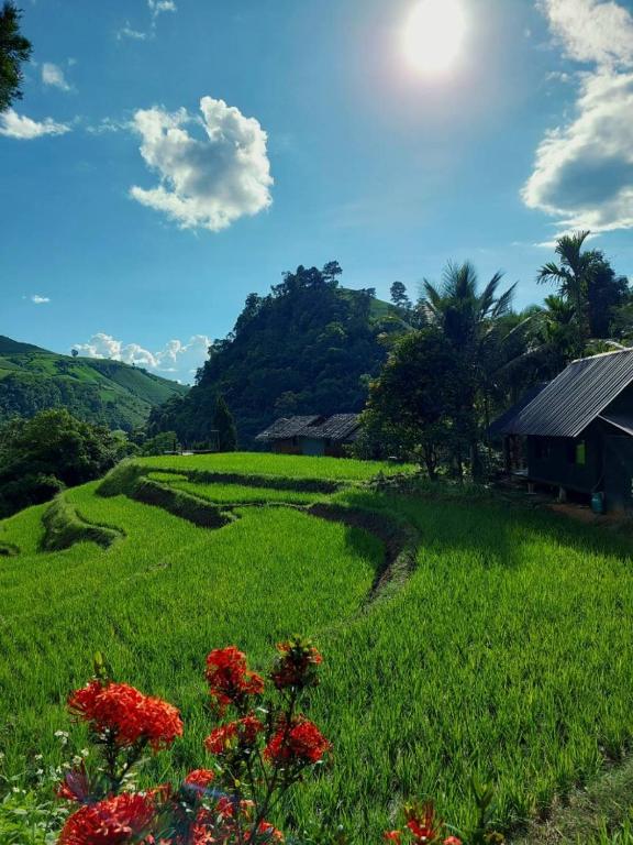 een groen veld met rode bloemen en een huis bij KowitFarmstay in Ban Mae Pan Noi