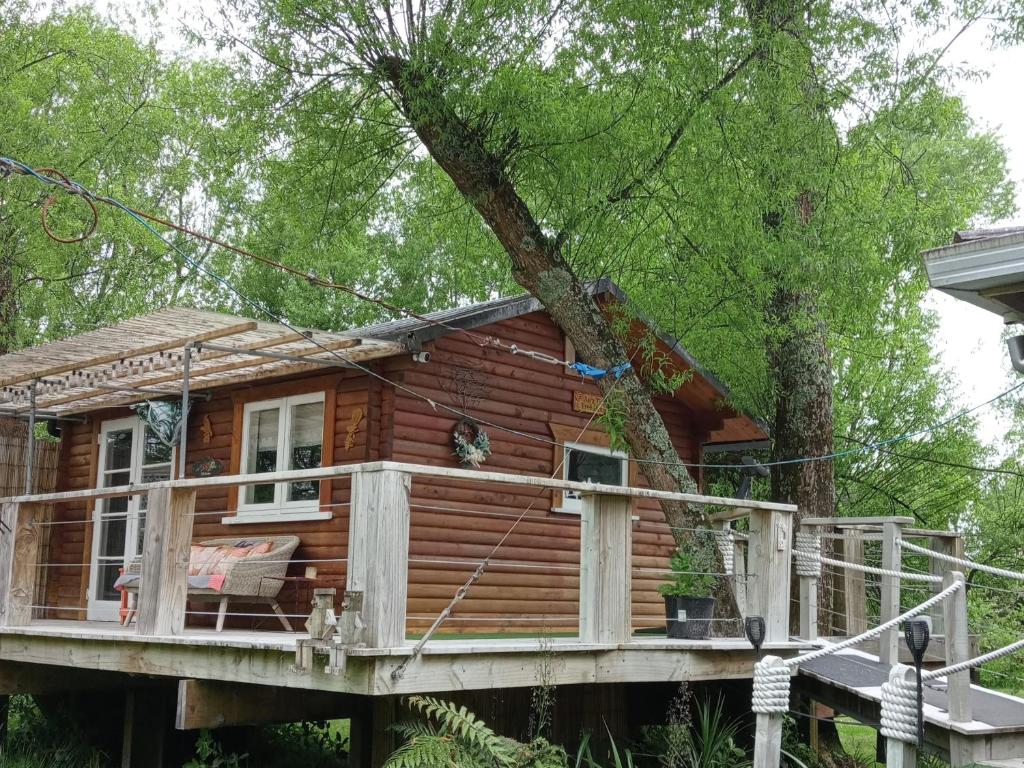 eine Blockhütte, aus der ein Baum wächst in der Unterkunft Tree House 4 Two in Rotorua