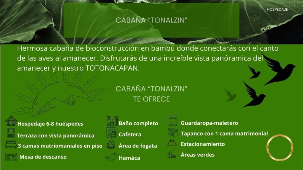 Una hoja verde con descripciones de las diferentes partes de una planta. en Cabañas Hogar Bambu Cuetzalan, en Cuetzalán del Progreso