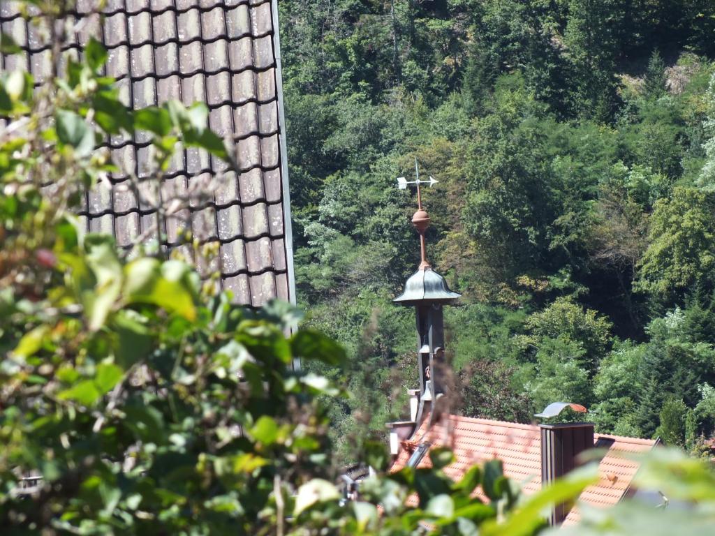 Zahrada ubytování Hotel-Gasthof Zum Weyssen Rössle