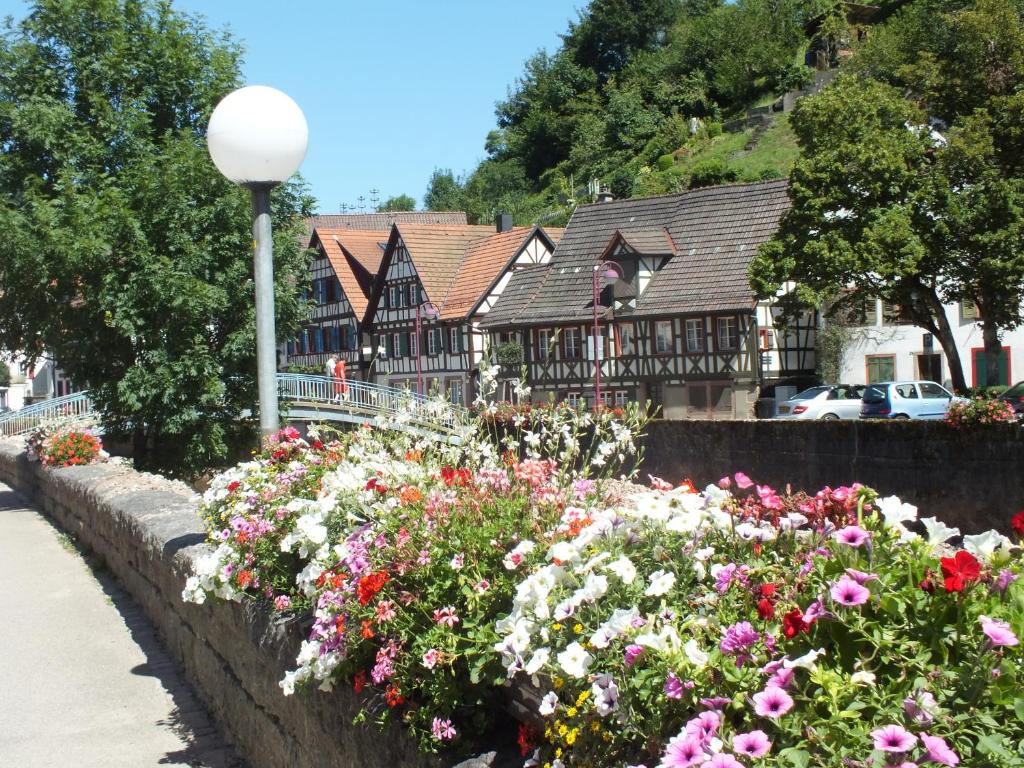 Zahrada ubytování Hotel-Gasthof Zum Weyssen Rössle