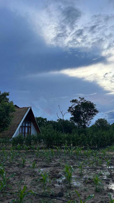 Un paisaje natural cerca de la villa