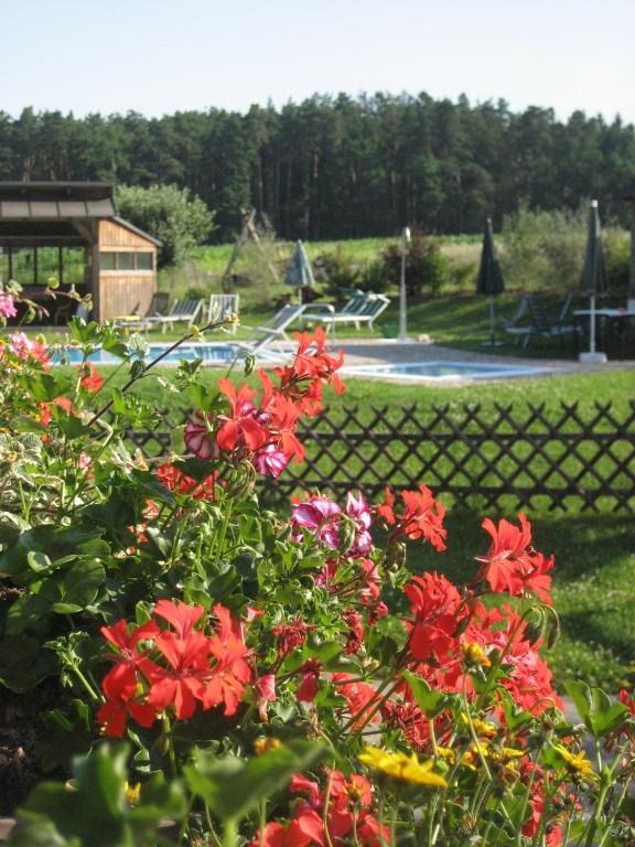 Zahrada ubytování Landhaus Dampf