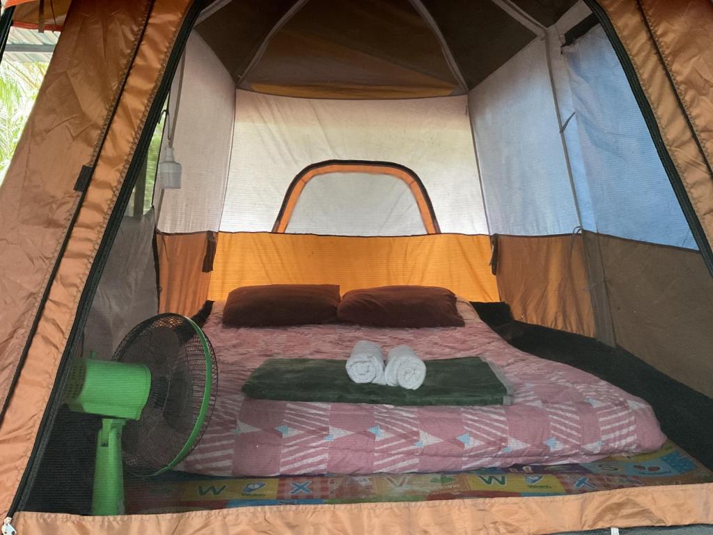 Khaosok August Freedom Camp - 16