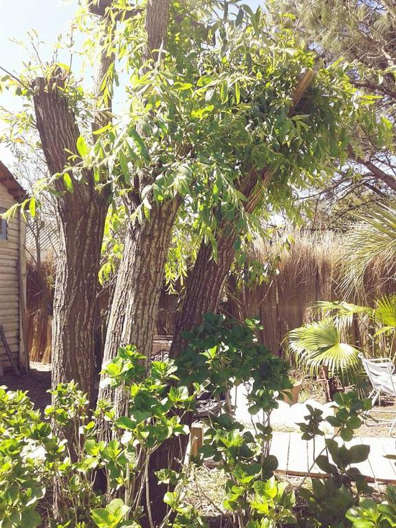 Fotografie z fotogalerie ubytování Posada Valizas v destinaci Barra de Valizas