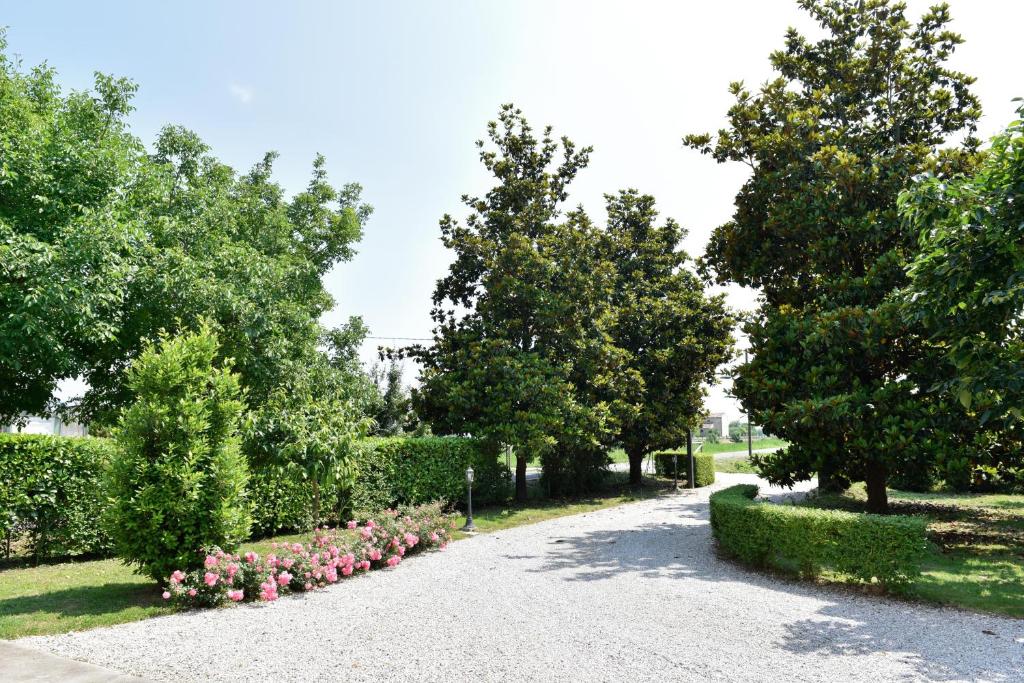 Zahrada ubytování B&B Kiwi