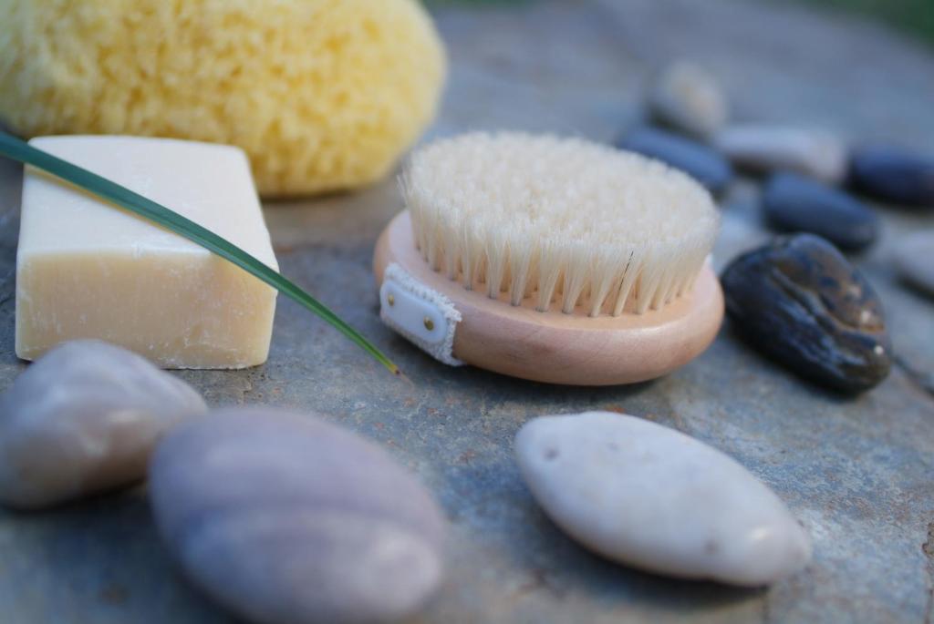 a toothbrush and some rocks and a tooth paste at Fernhill Hotel in Lyme Regis