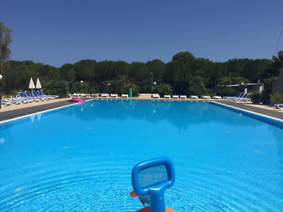 Bazén v ubytování Camping Cala dei Ginepri nebo v jeho okolí