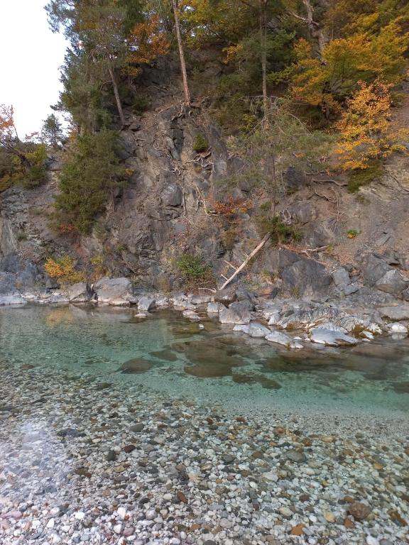 Die Pension Galle - 14