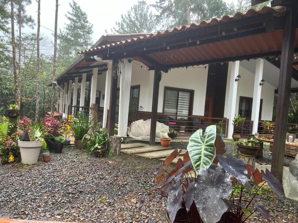 a house with a porch with plants in front of it at La Casa del rio in Los Altos de Cerro Azul