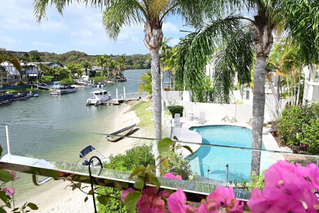 a view of a body of water with palm trees at St Tropez 8 - Waterfront Retreat with Rooftop Spa & Sauna in Noosa Heads