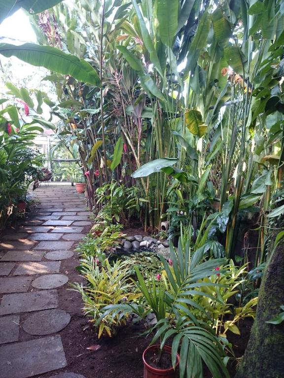 Zahrada ubytování Tortuguero Adventures GuestHouse