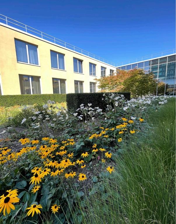 Carathotel Düsseldorf City - Resim 44