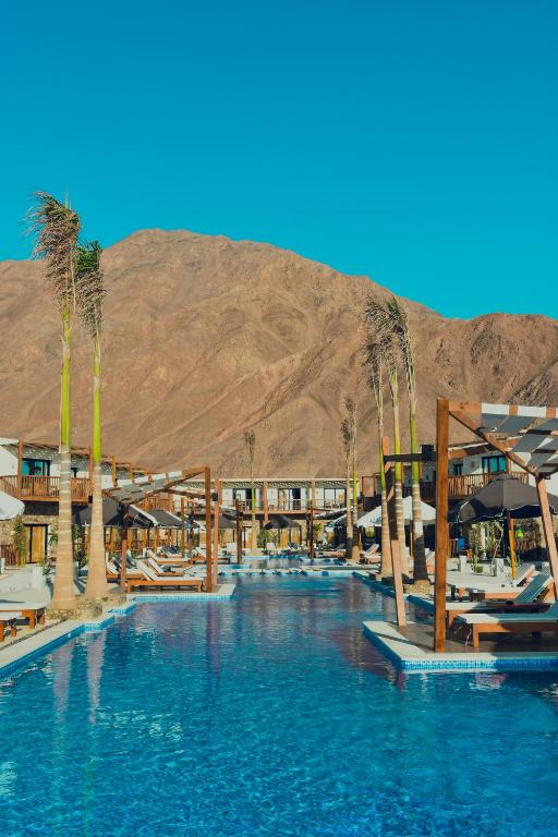 a resort with a swimming pool with palm trees at Crazy Horse Camp in Nuweiba