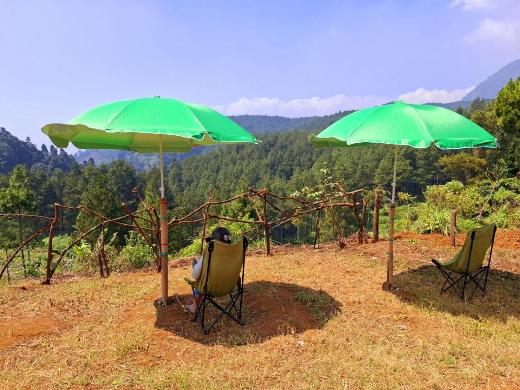 a person sitting in a chair under a green umbrella at Ciwidey Jungle Camp & Cabin in Gambung