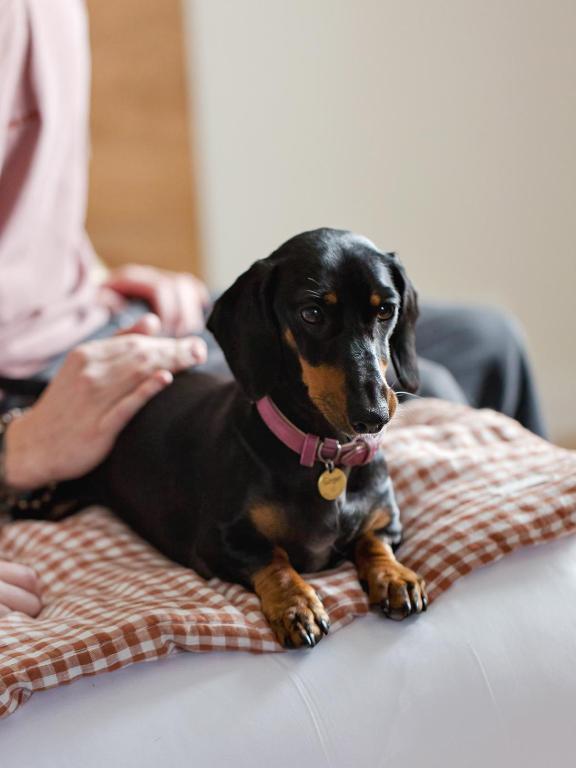 ALFRED HOTELS Compiègne - 19