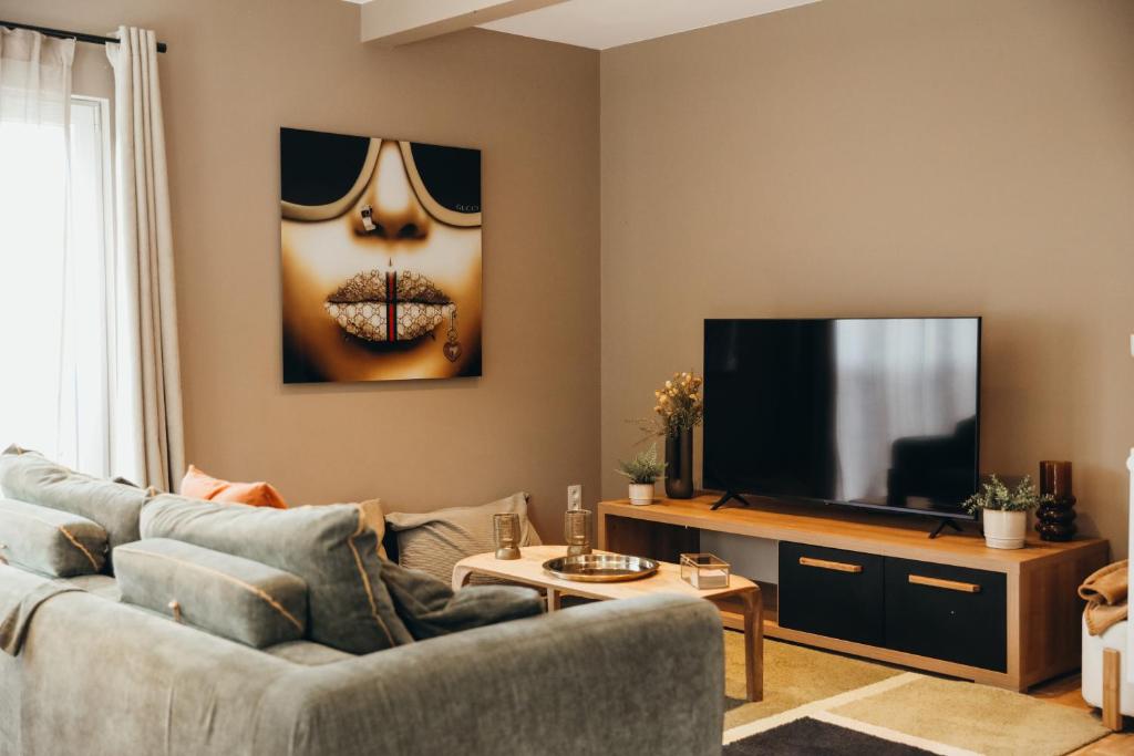 a living room with a couch and a television at Le Ruisseau - Appartement 8P in Theux