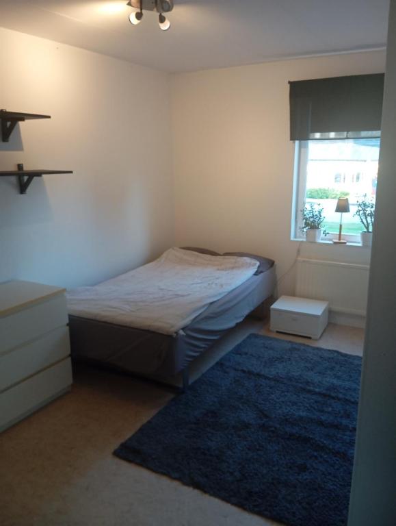 スカーラにあるLägenhete centrala Skaraのベッドルーム1室(青い敷物と窓付)