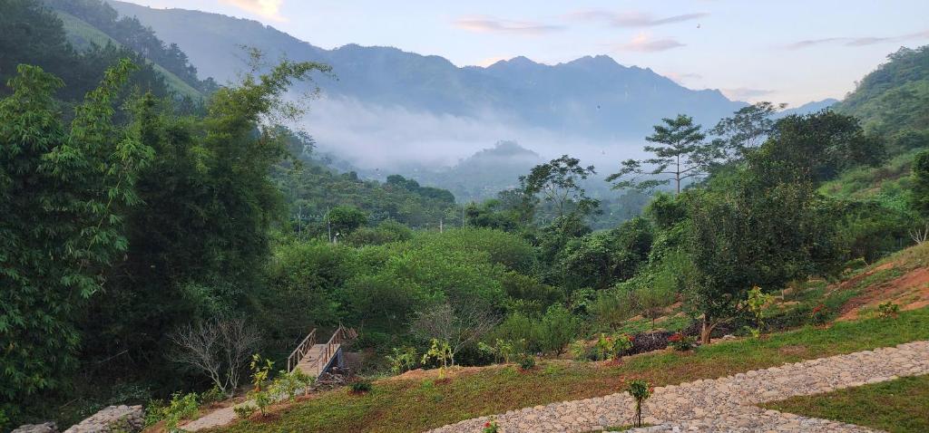 a view of a valley with trees and mountains at Trạm Thẩm Lé in Văn Chấn