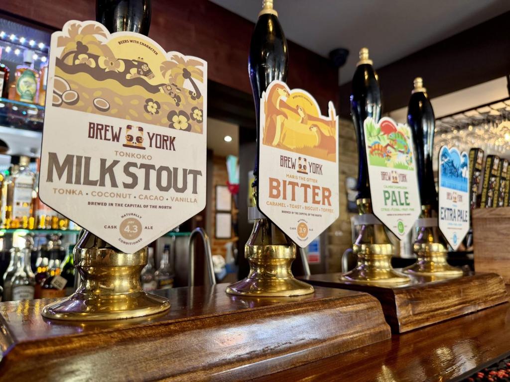 Old Grey Mare - Resim 7