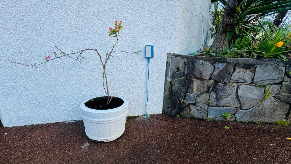 Delight at Golf - Resim 37