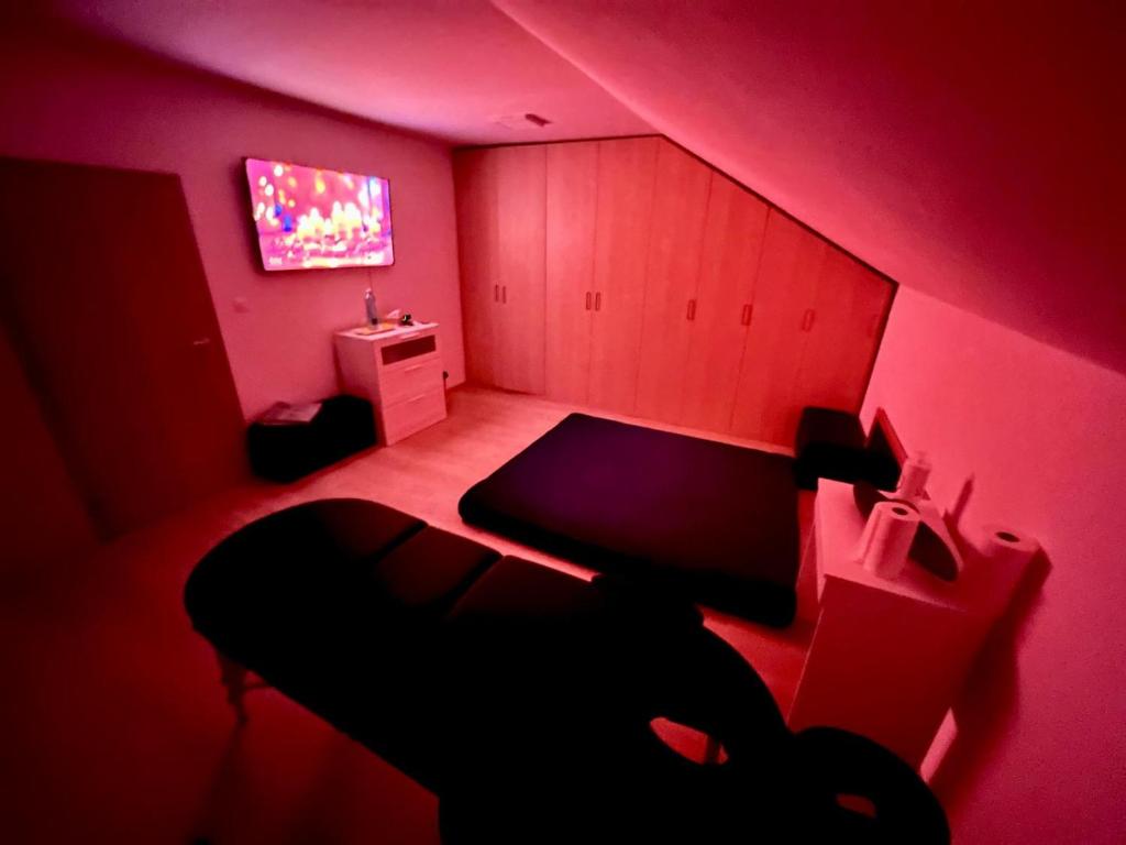 TV a/nebo společenská místnost v ubytování Rufus