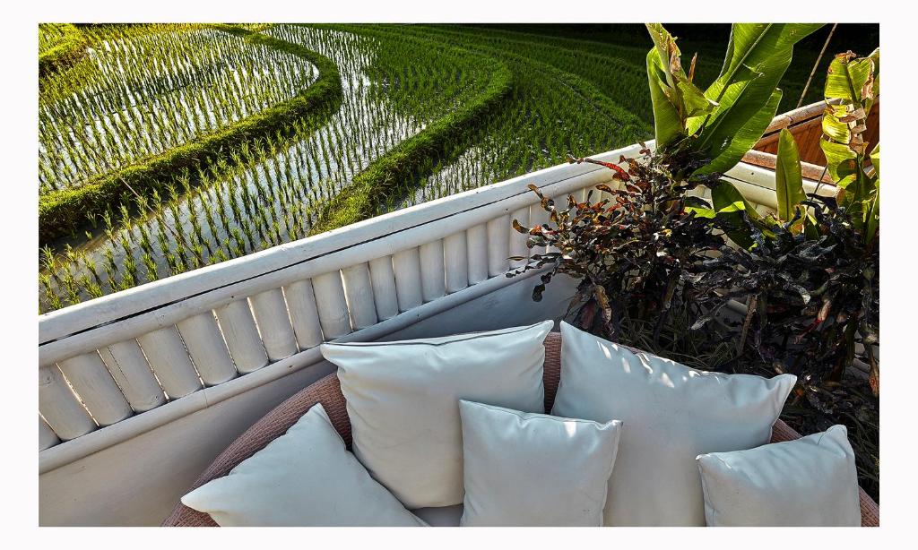 The Laut Bali- Design Villa Rice Field View Pool, Canggu (updated ...