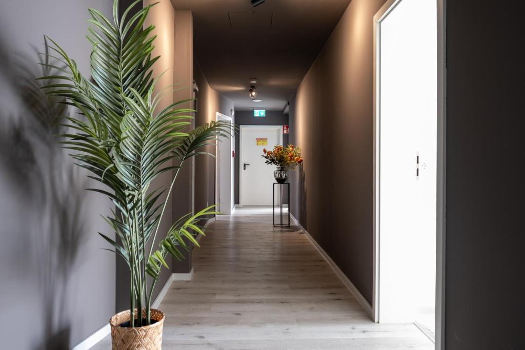 sQuare Hotel - Resim 28