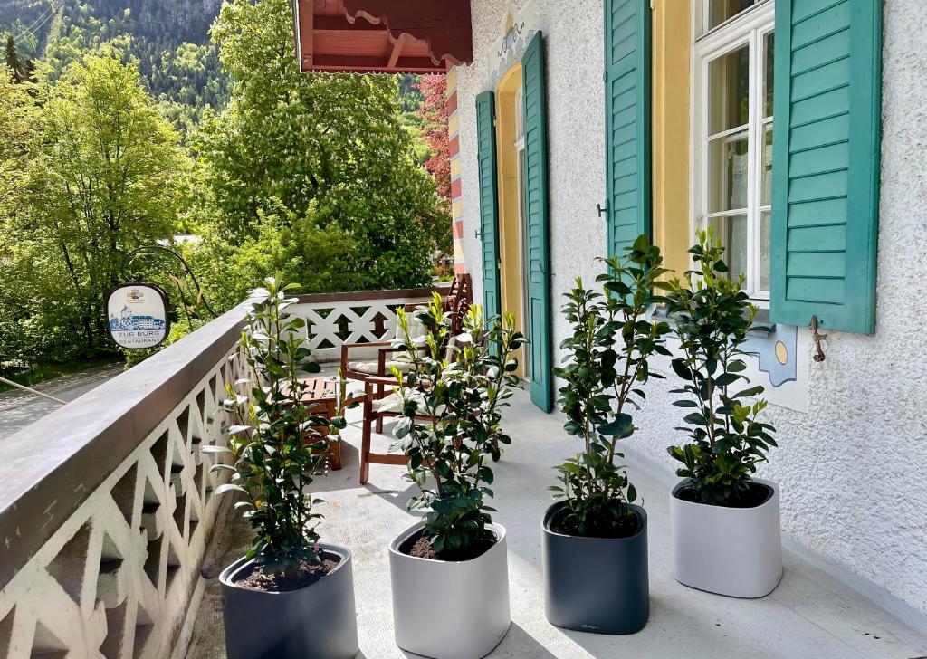 three potted plants on a porch of a house at ciao-aschau Haus Burg Studio-Apartment101 in Aschau im Chiemgau