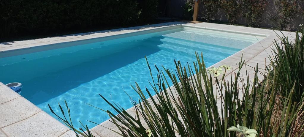 a blue swimming pool with plants in the foreground at Casa Lycka in Roldán