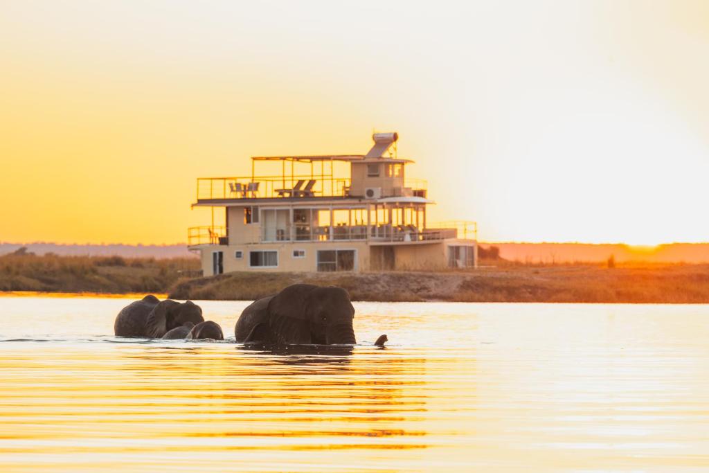 Chobe Princess by Mantis