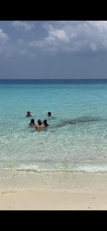 Alma Maldiva, Beach Hotel - View 25