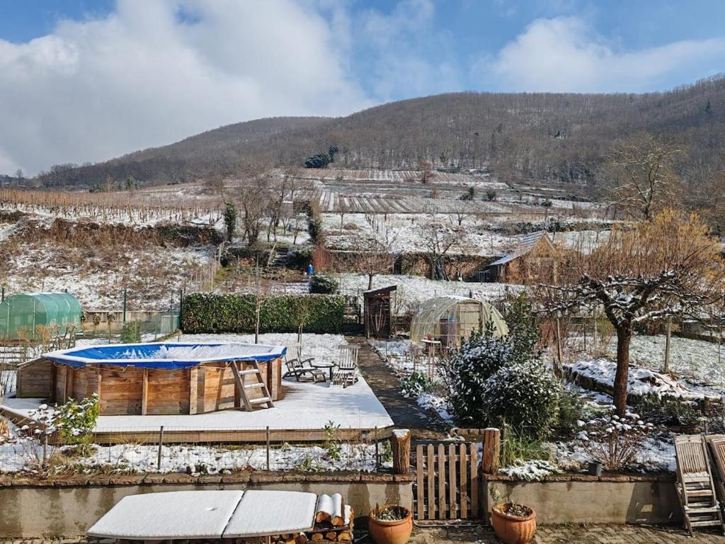 Chez Lulu - Maison au calme à Kaysersberg – photo 40