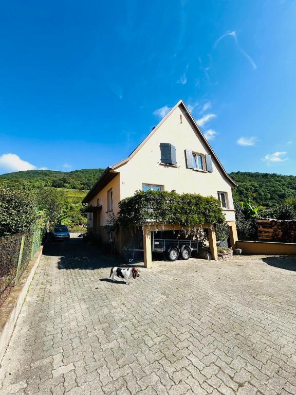 Chez Lulu - Maison au calme à Kaysersberg – photo 9