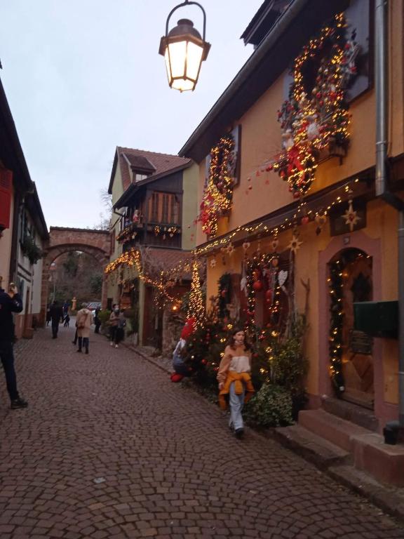 Chez Lulu - Maison au calme à Kaysersberg – photo 43