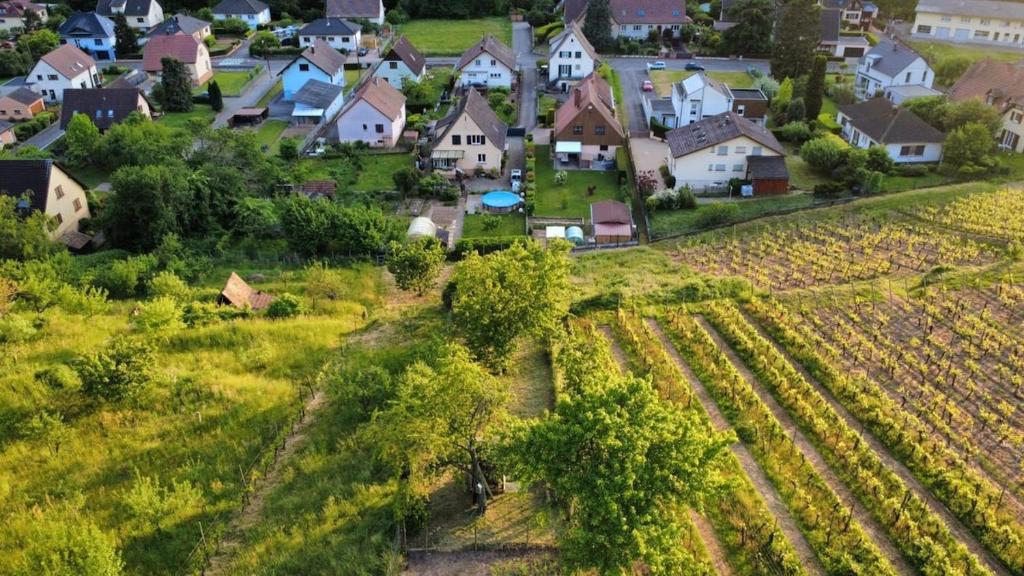 Chez Lulu - Maison au calme à Kaysersberg – photo 14