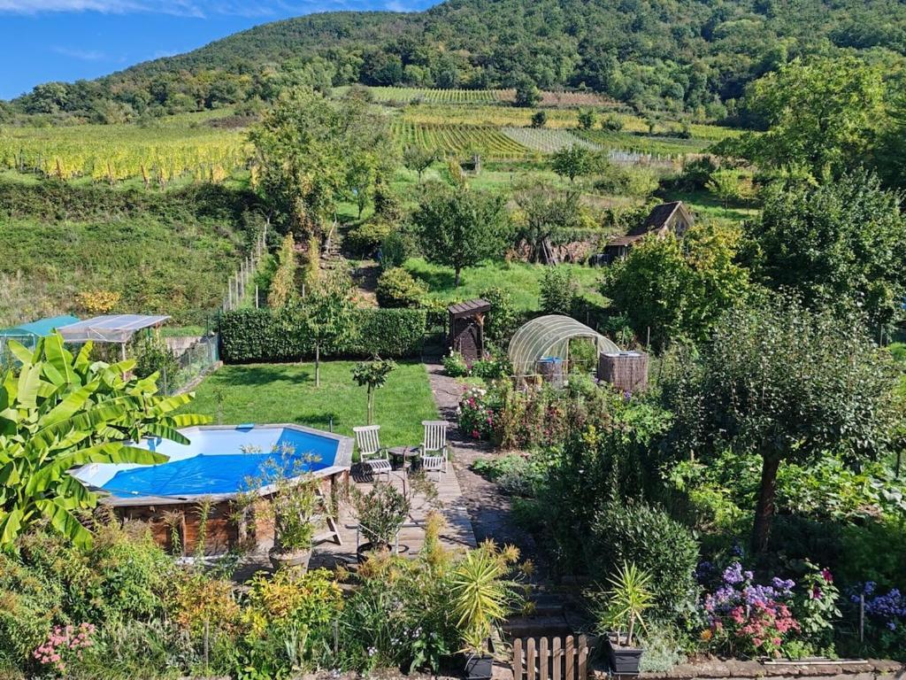 Chez Lulu - Maison au calme à Kaysersberg – photo 7