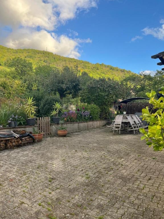 Chez Lulu - Maison au calme à Kaysersberg – photo 18